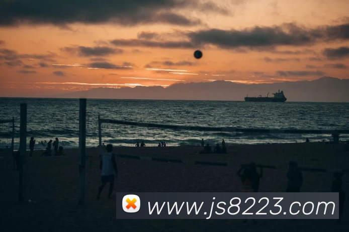 金沙国际娱乐城平台生态图