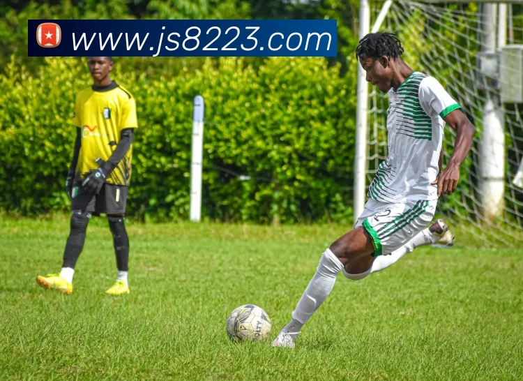 金沙国际娱乐城APP 封面图